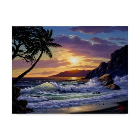 Anthony Casay 'Sunset Coast 1' Canvas Art,18x24